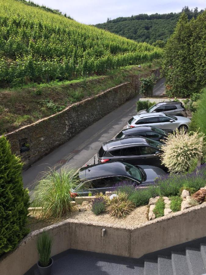 Weinburg -das Cochem
