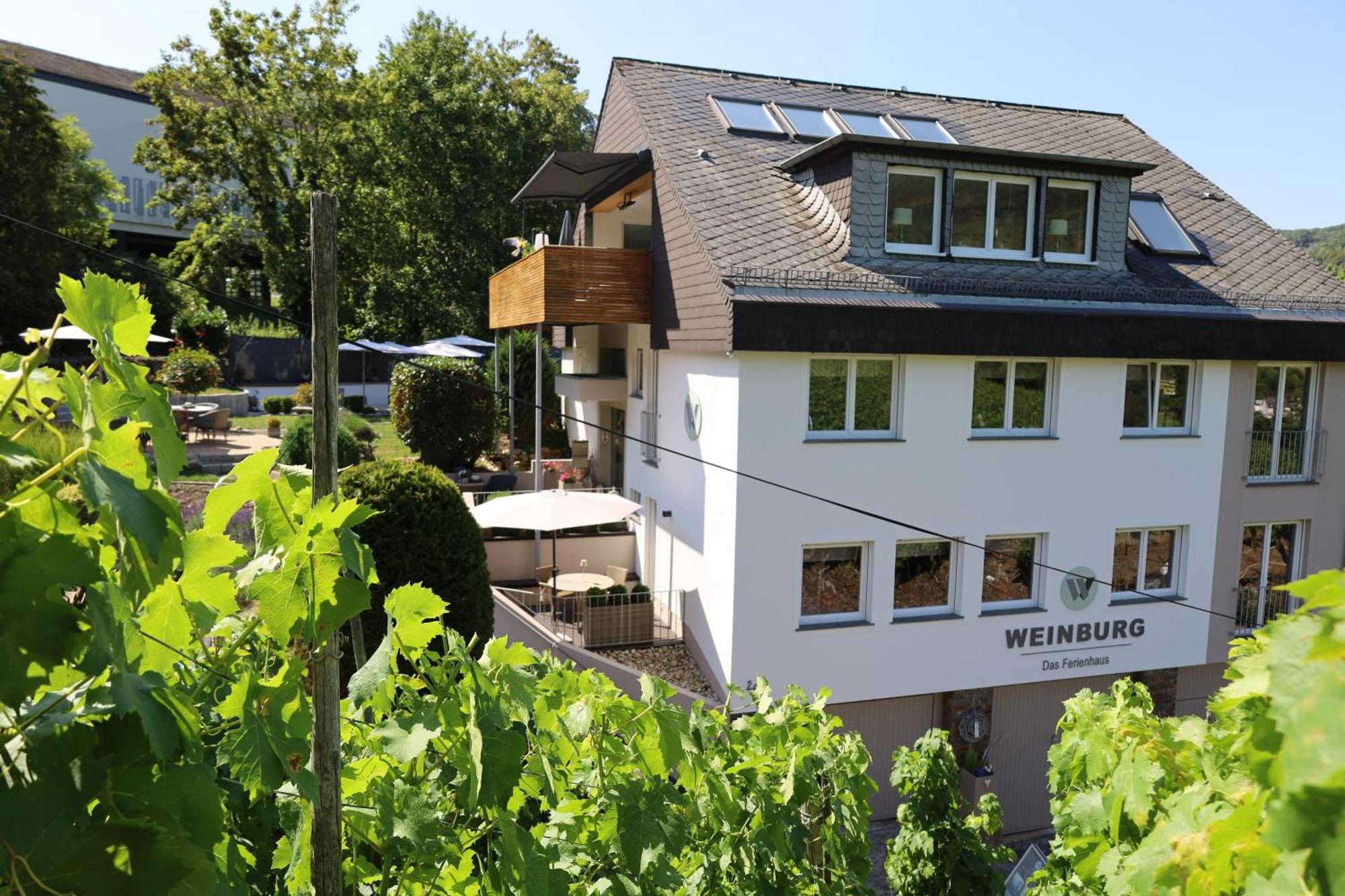 Weinburg -das Cochem
